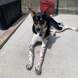 Meet your Posher, Mica